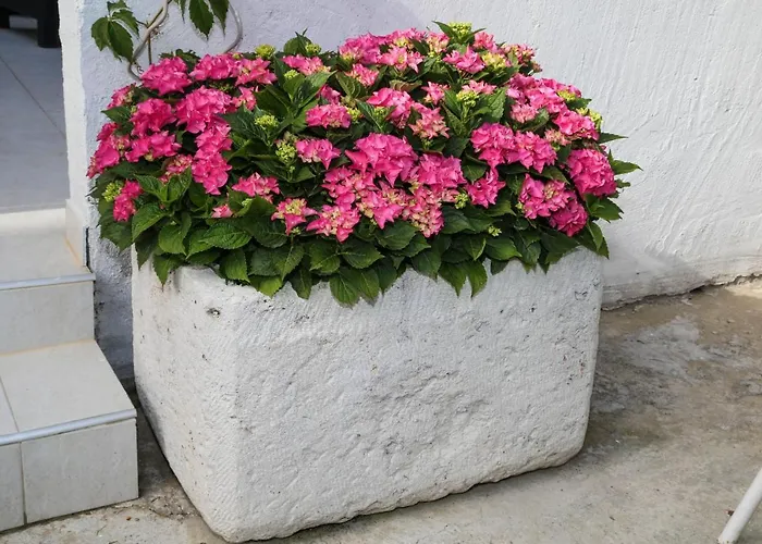 Διαμέρισμα Seka *